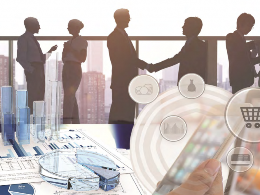 Brand Protection as a Total Business Solution