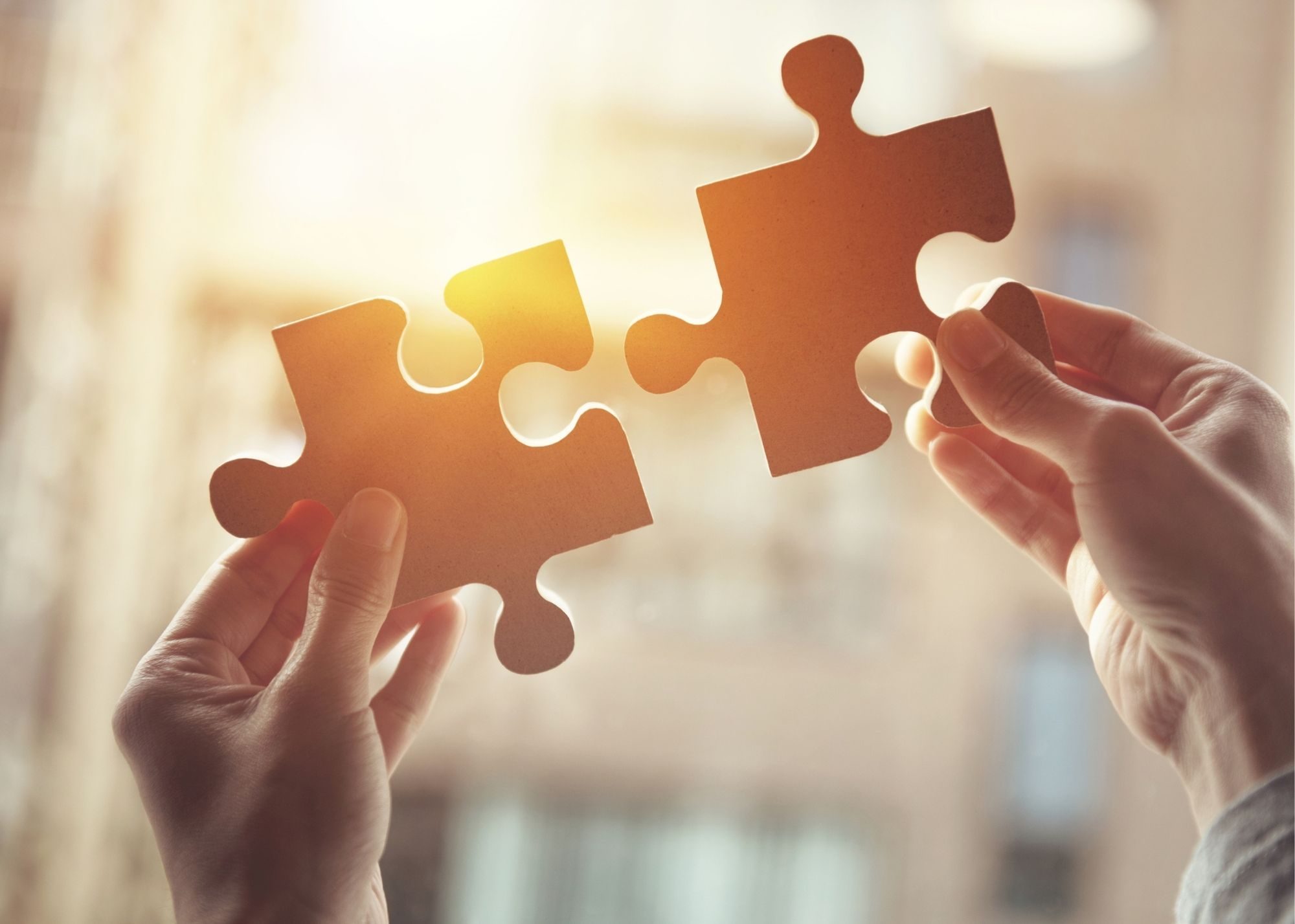 A Five-Year Review of “Proposed Solutions to the Brand Protection Challenges and Counterfeiting Risks Faced by Small and Medium Enterprises (SMEs)”