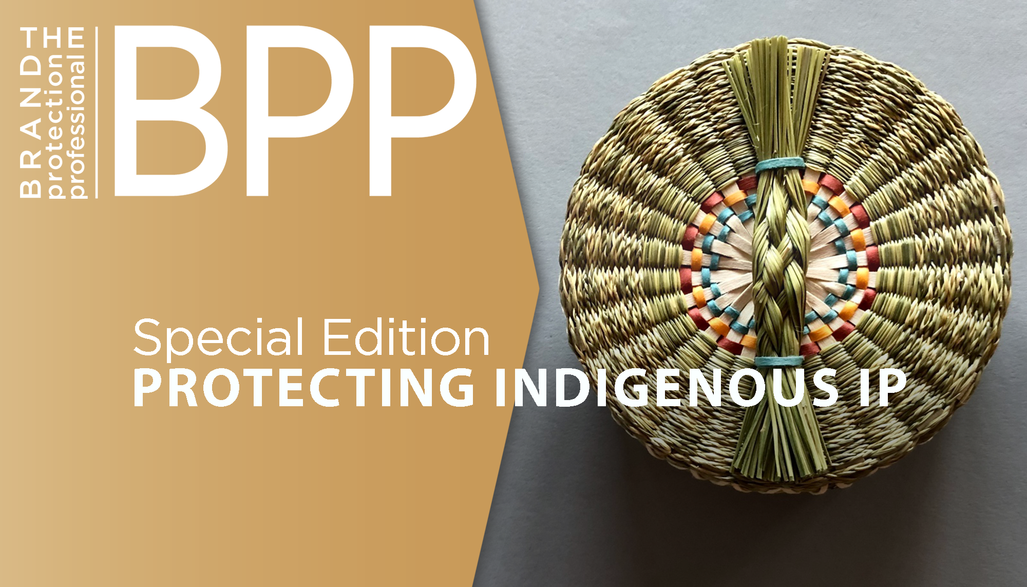 BPP | December 2022 | Volume 7 | Number 4