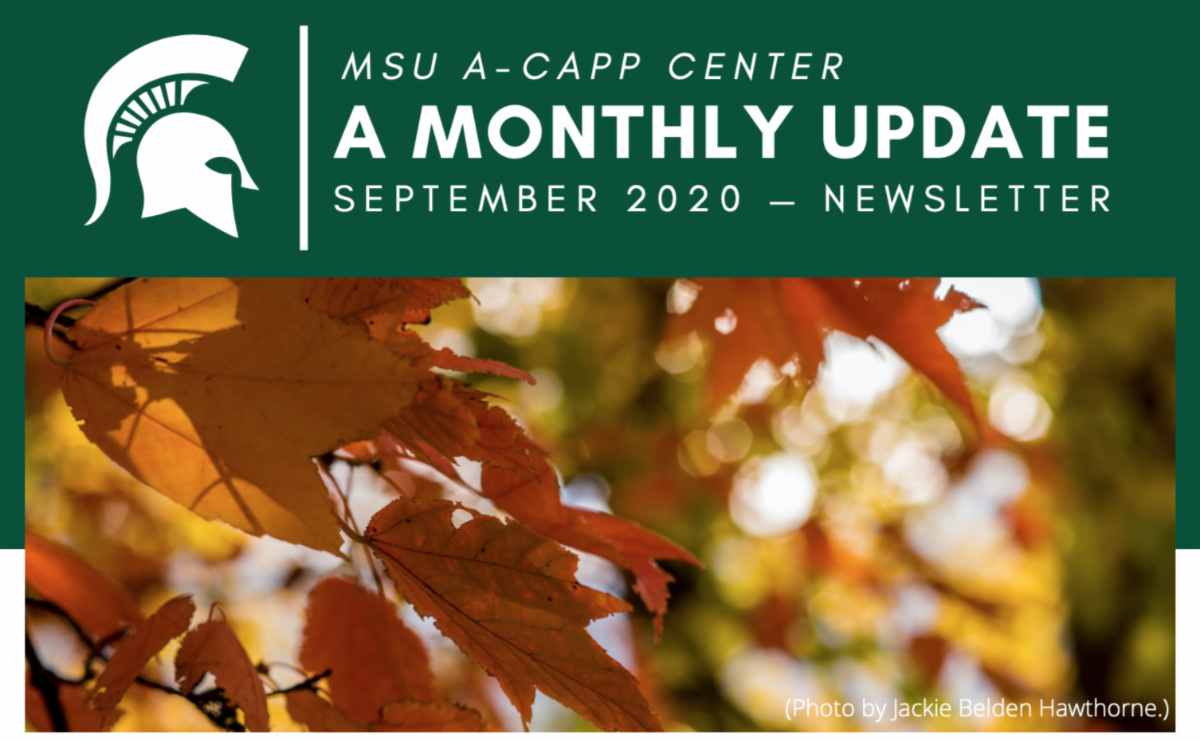 September 2020 Newsletter