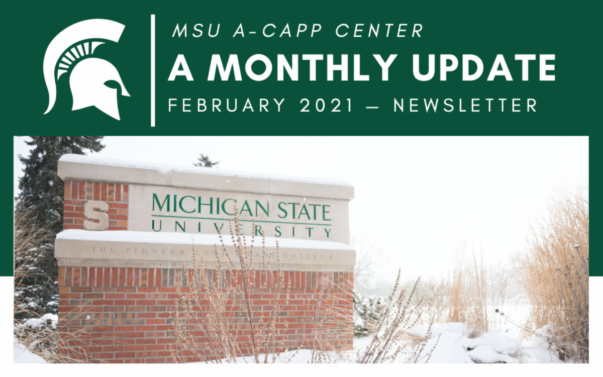 February 2021 Newsletter