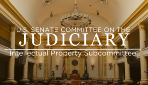 Kari Kammel Testifies Before Congress