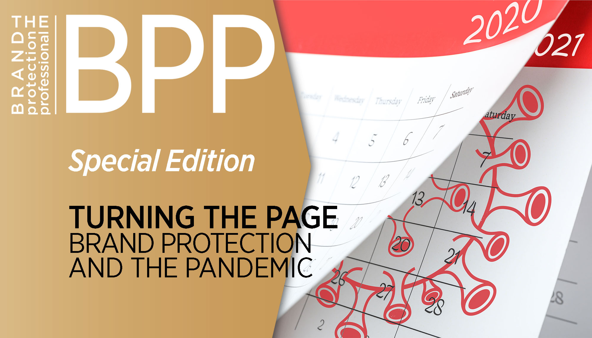 BPP Cover Story Graphic
